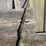EASY GUIDE FOR SPRING TURKEY HUNTING GEAR