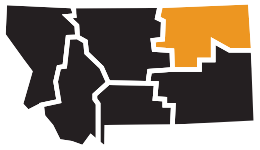 image-172.png