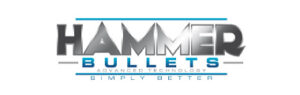 HammerBullets_Opt1